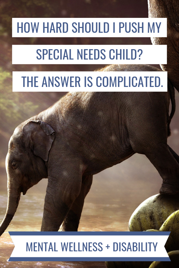 Image of a mother elephant nudging a baby elephant into a pool of water captioned with "How hard should I push my special needs child? The answer is complicated."