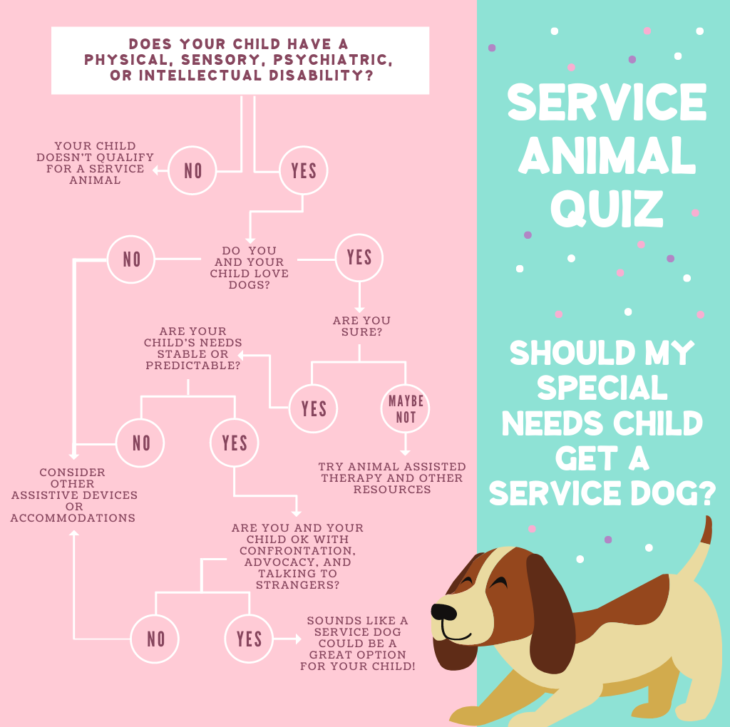 Quiz: Should I get a service animal for my special needs child? - Reif  Counseling Services