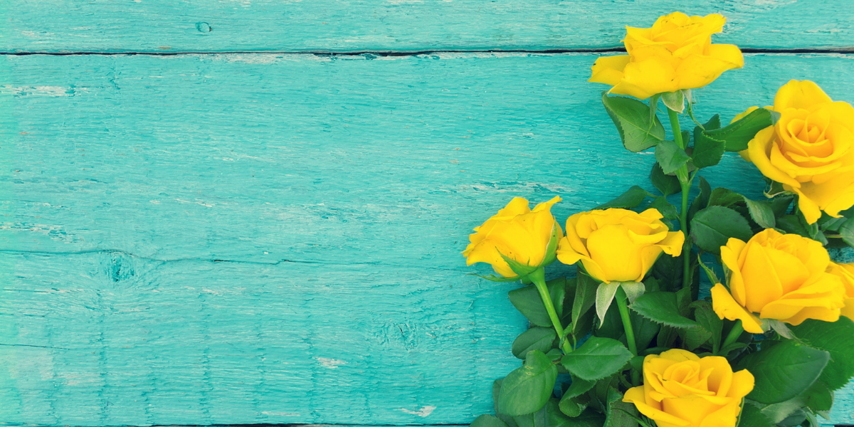 picture of yellow roses, symbolizing health friendship, against a teal wood background